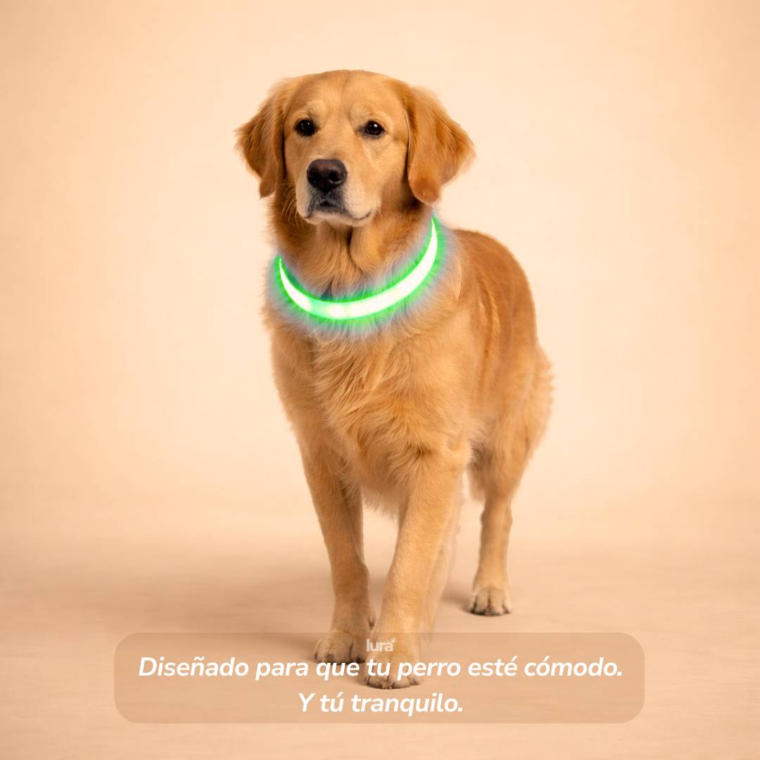 Collar LuraGlow