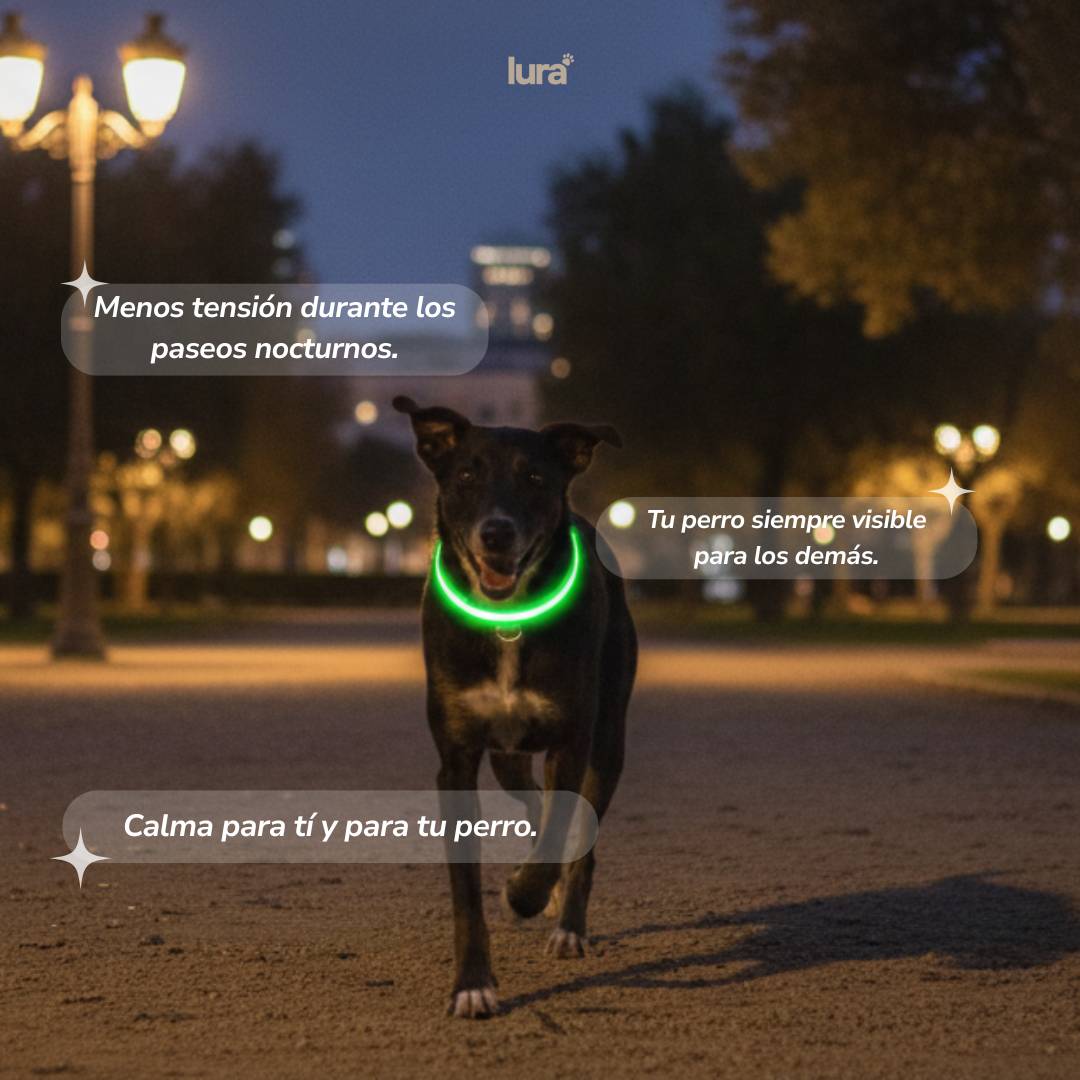 Collar LuraGlow