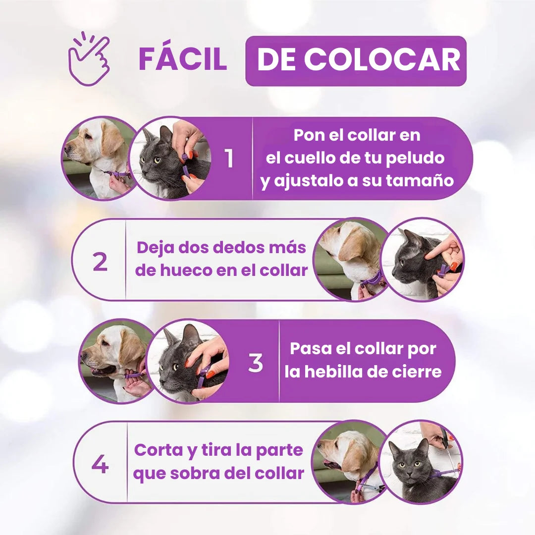 Lura Calm™ - 60 días de paz para tu mascota