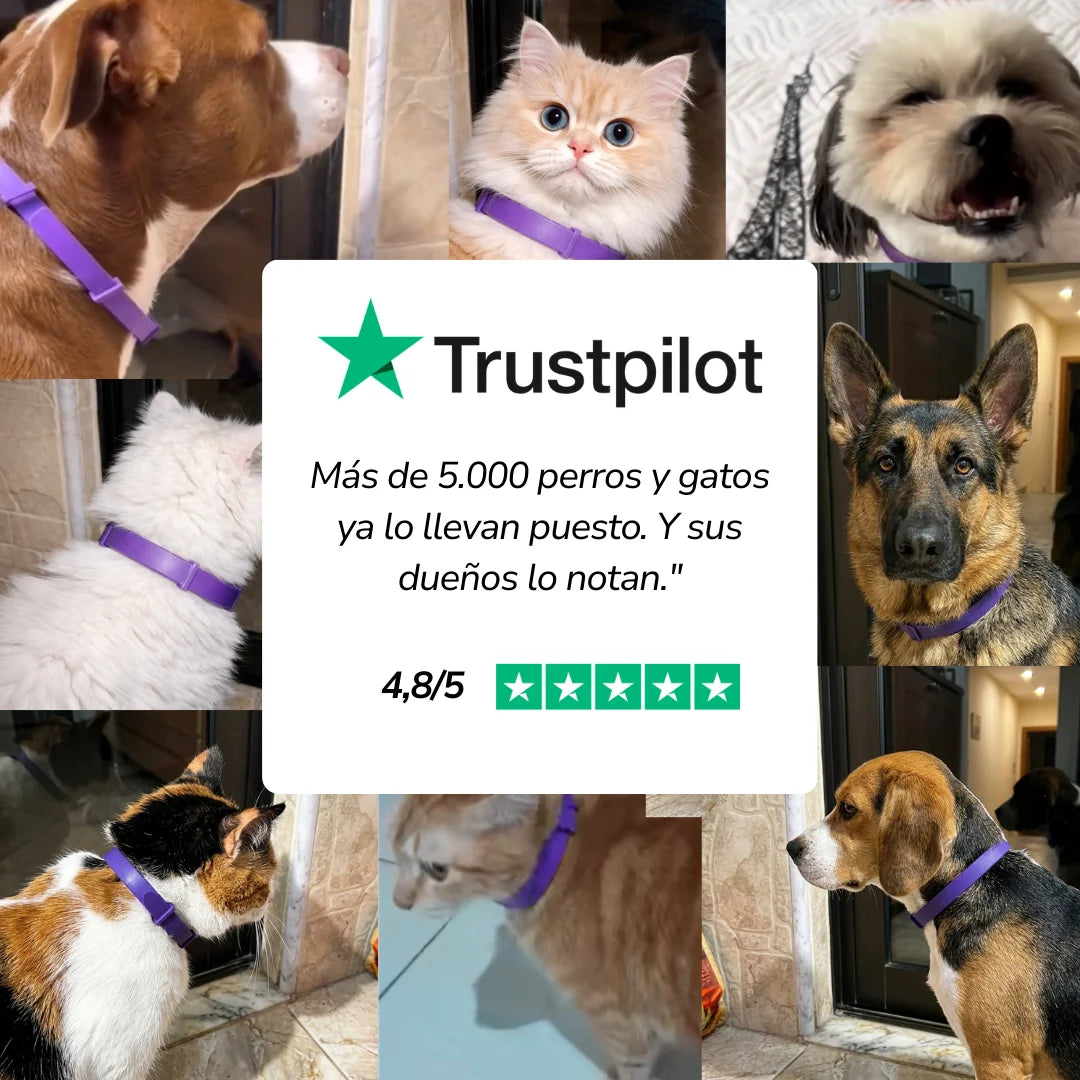 Lura Calm™ - 60 días de paz para tu mascota