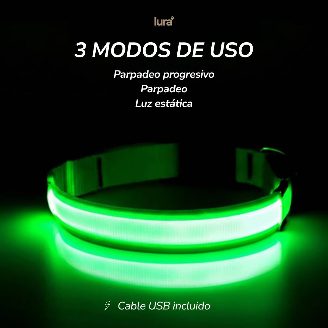 Collar LuraGlow