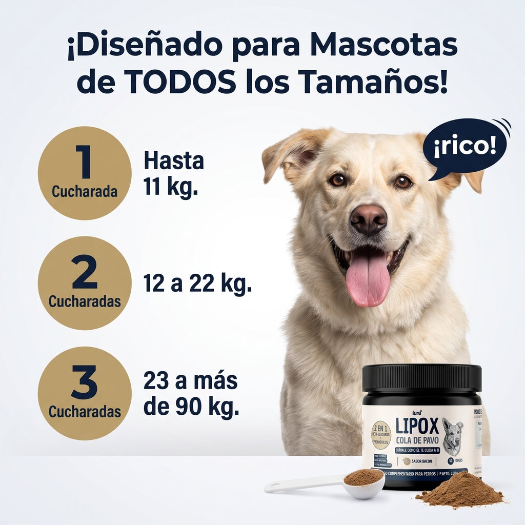 Lura Lipox™ - Frena los lipomas desde dentro